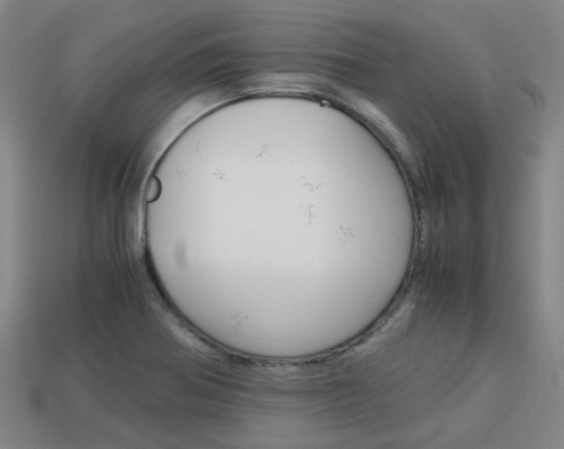 X0000114091370200910051201