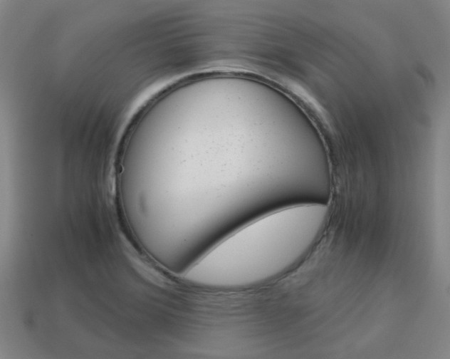 X0000114091372200910051201