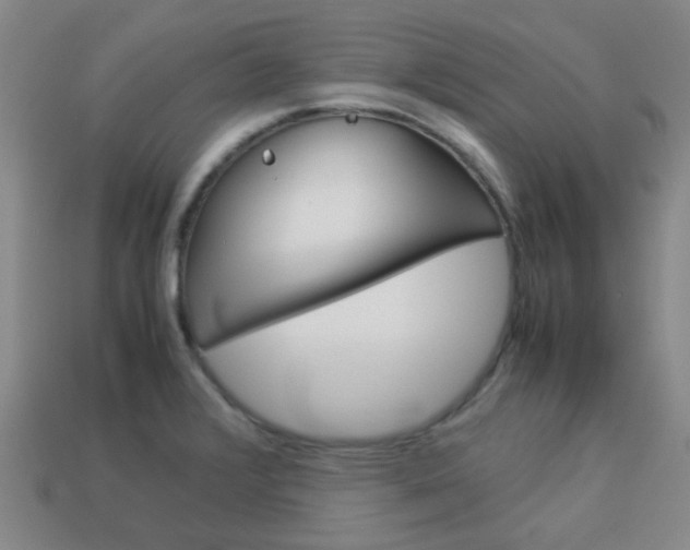 X0000114091376200910051201
