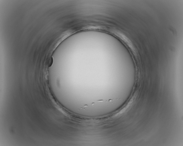 X0000114091377200910051201