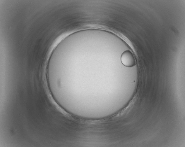 X0000114091381200910051200