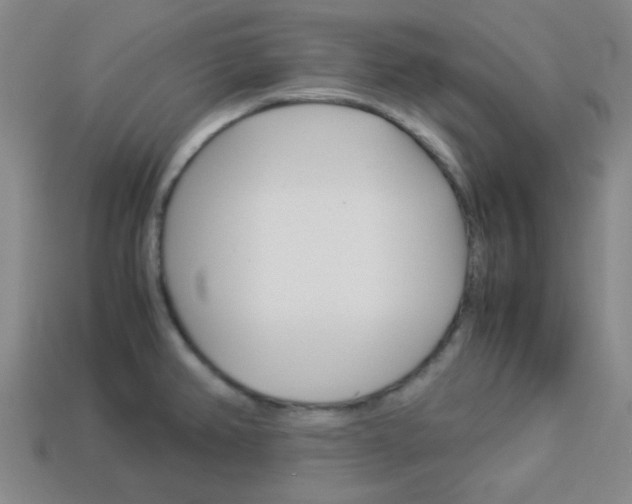 X0000114091382200910051200