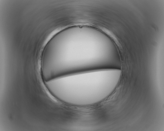 X0000114091383200910051200