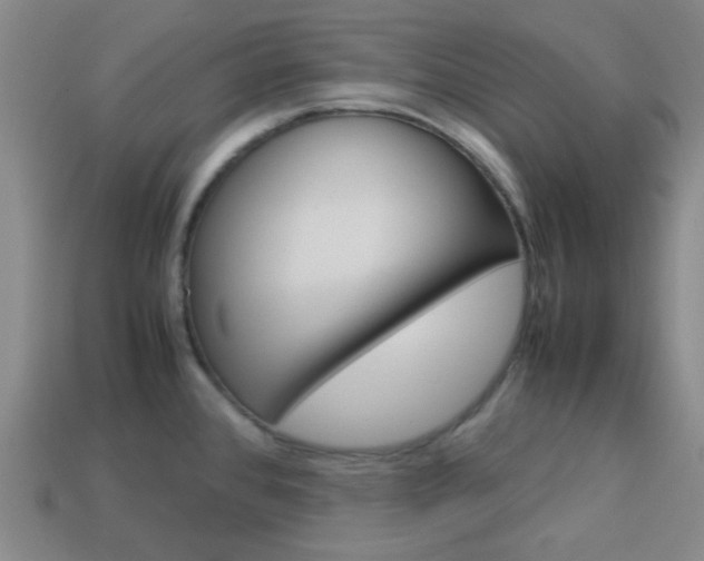 X0000114091384200910051200