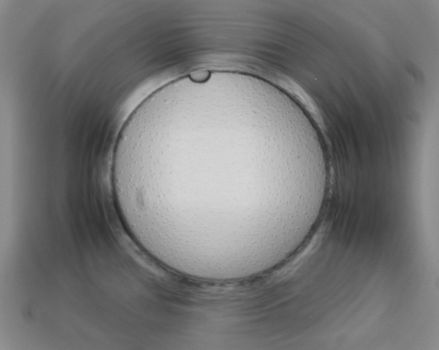 X0000114091386200910051200