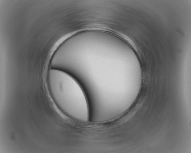 X0000114091387200910051200