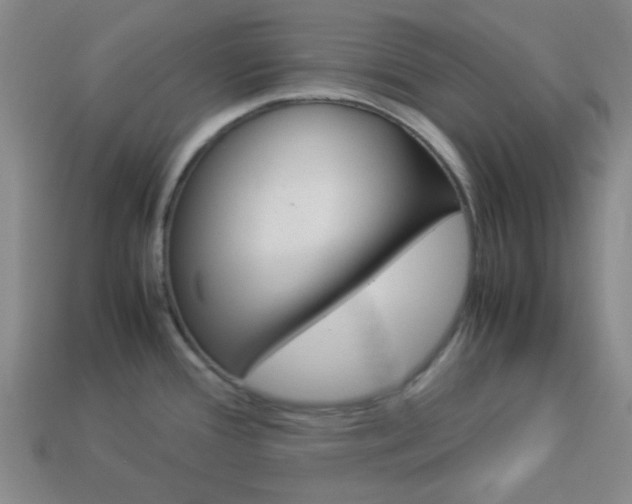 X0000114091388200910051200