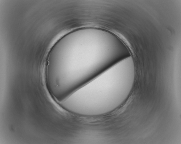 X0000114091391200910051200