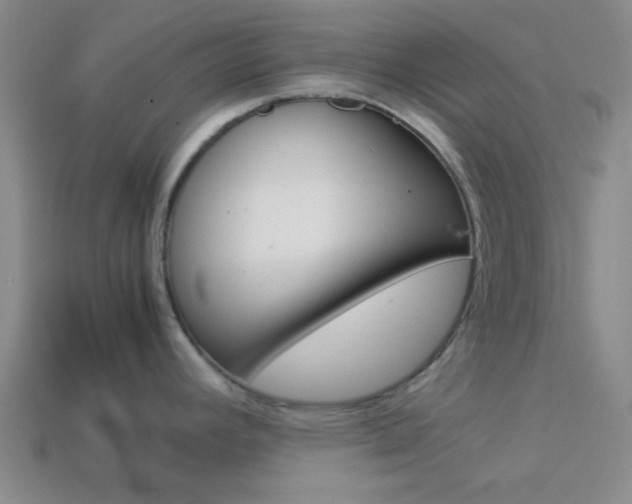 X0000114091392200910051200