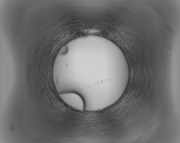 X0000114091393200910051200