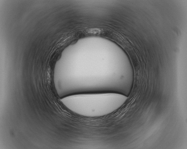 X0000114091394200910051200