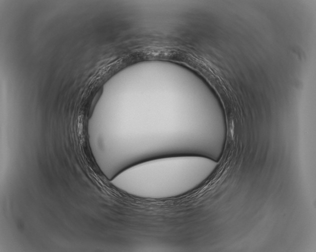 X0000114091396200910051200