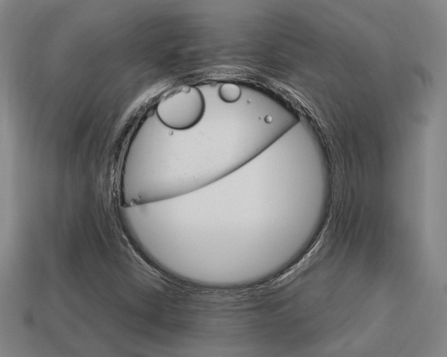 X0000114091402200910051200