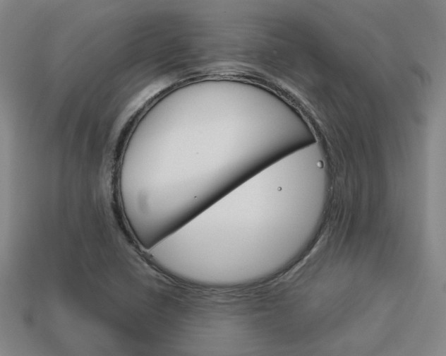 X0000114091410200910051200