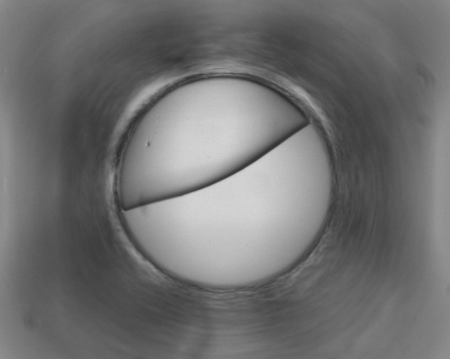 X0000114091416200910051200