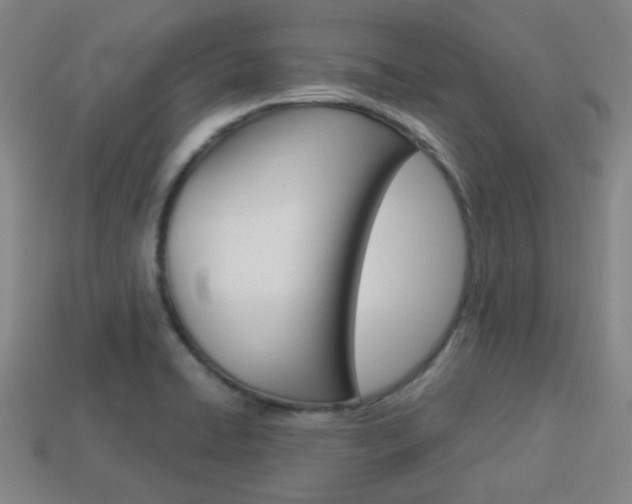 X0000114091422200910051200
