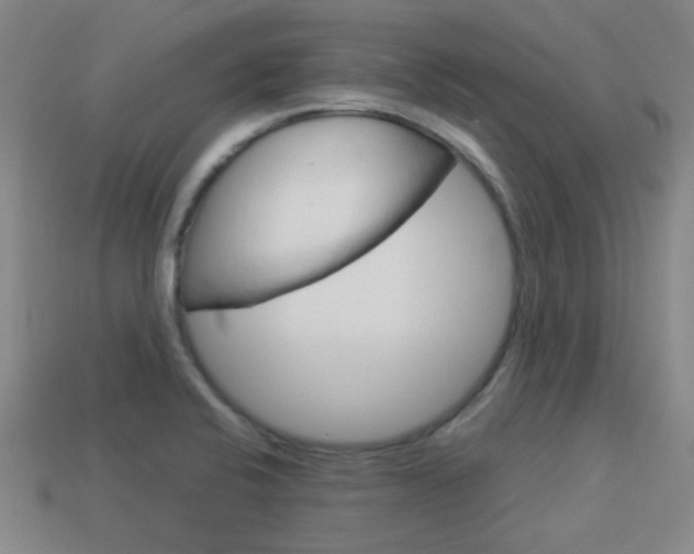 X0000114091424200910051200