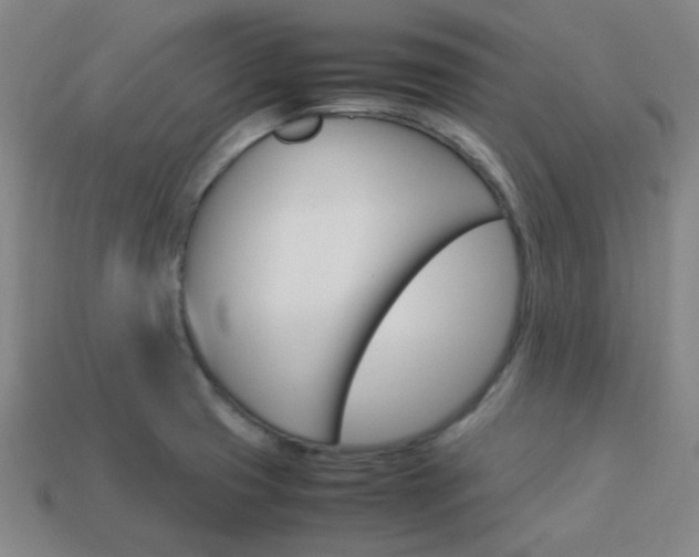 X0000114091425200910051200