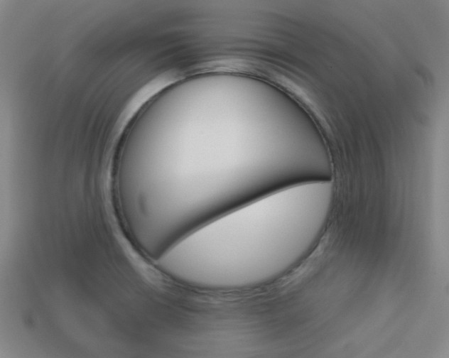 X0000114091426200910051200