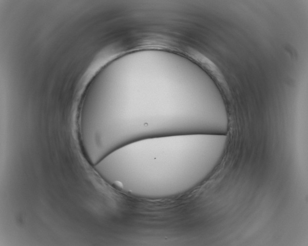 X0000114091427200910051200