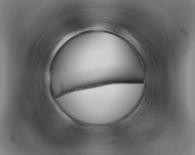 X0000114091428200910051200