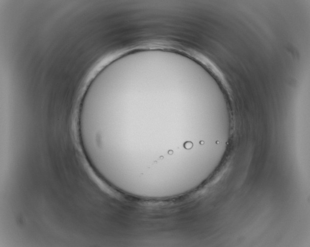 X0000114091429200910051200