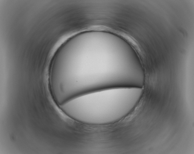 X0000114091430200910051200