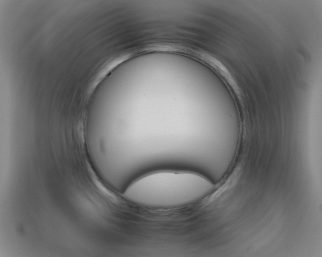 X0000114091433200910051200