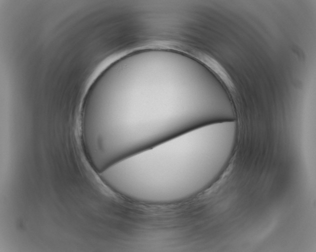 X0000114091436200910051200