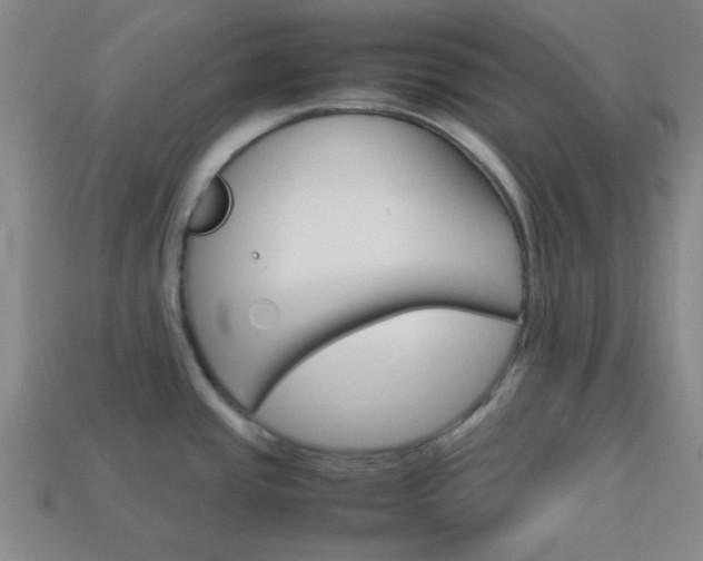 X0000114091437200910051200
