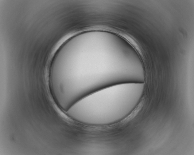 X0000114091438200910051200