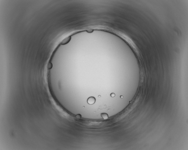X0000114091439200910051200