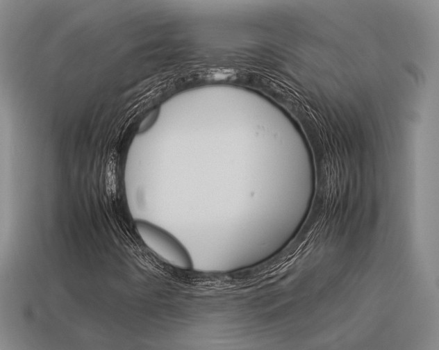 X0000114091442200910051200