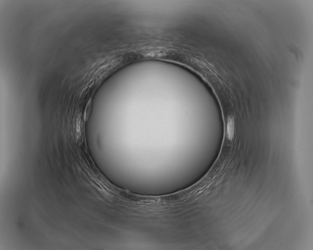 X0000114091444200910051200