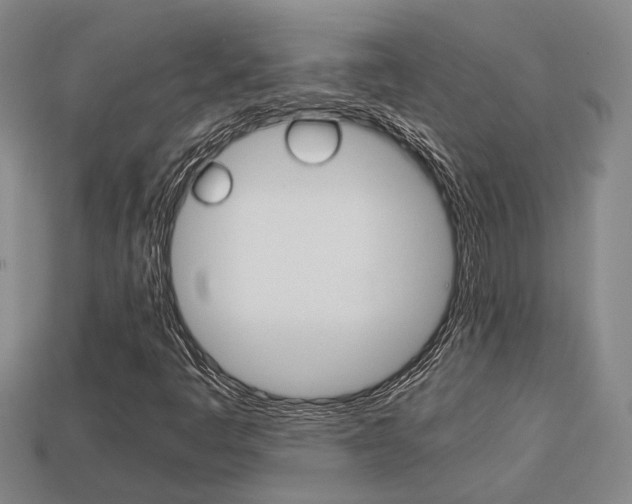 X0000114091445200910051200
