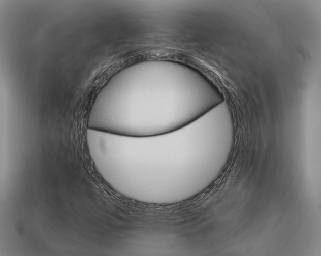X0000114091447200910051200