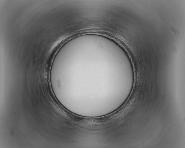 X0000114091450200910051200