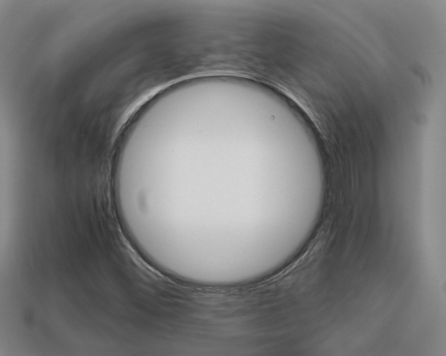X0000114091452200910051159
