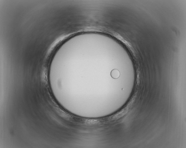 X0000114091454200910051159