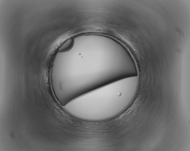 X0000114091455200910051159