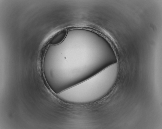 X0000114091456200910051159