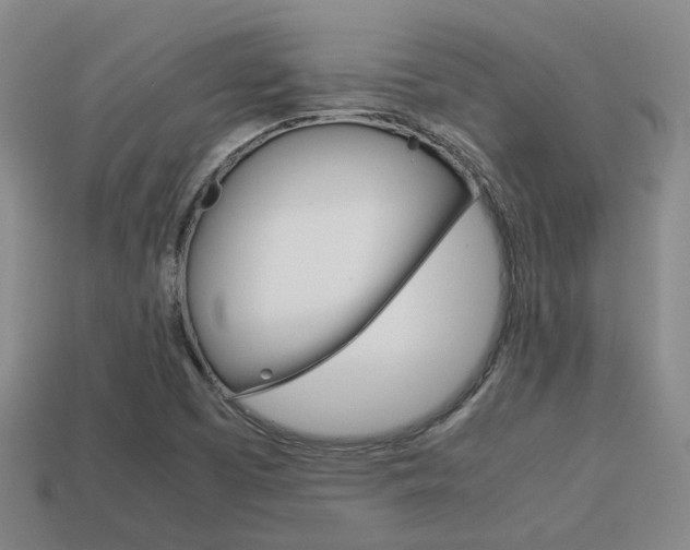 X0000114091457200910051159