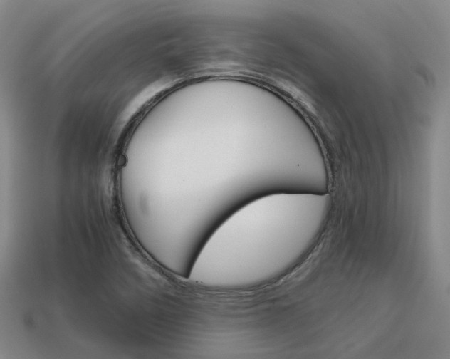 X0000114091458200910051159