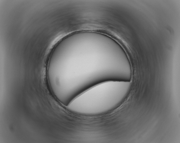 X0000114091459200910051159