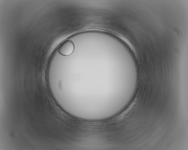 X0000114091461200910051159