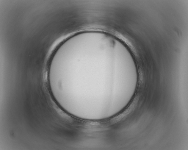 X0000114091462200910051159