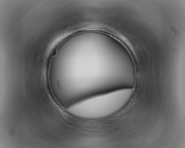 X0000114091464200910051159