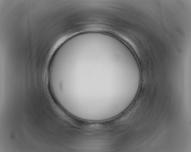 X0000114091467200910051159