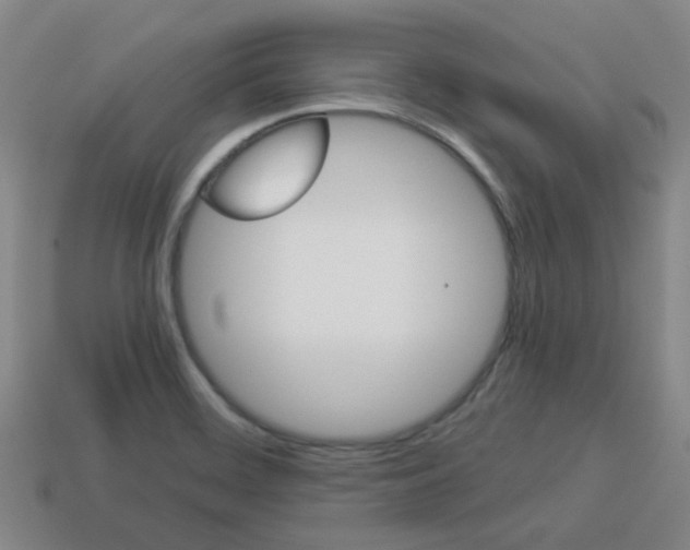 X0000114091468200910051159