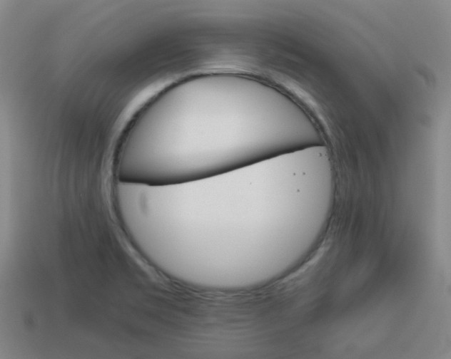 X0000114091469200910051159